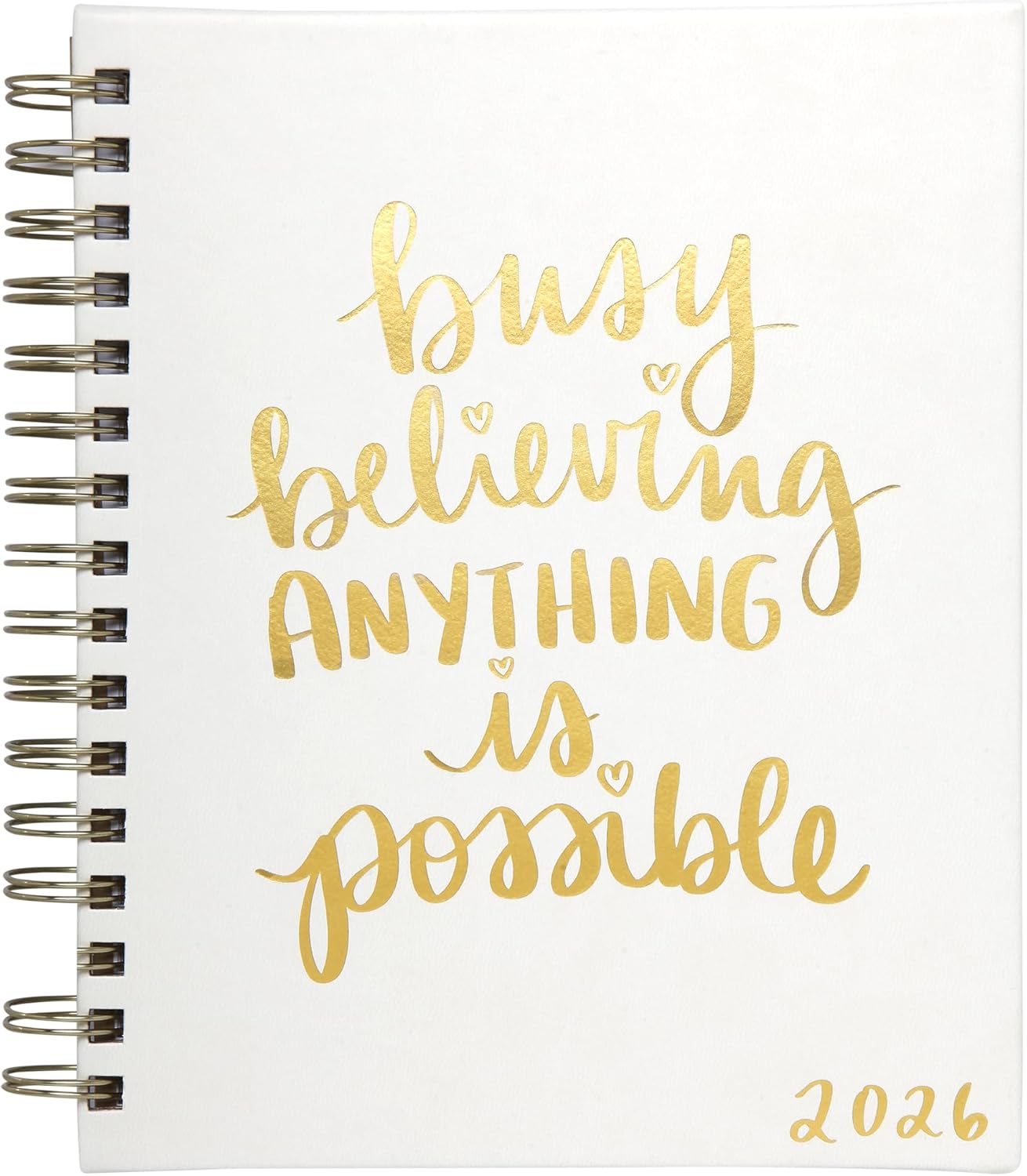 WORLD TRAVELER 2026 Planner Weekly and Monthly - 7'' x 8.75'' Hard Cover January December Spiral Daily Planner 2026 To Do List, Size 7X8.75, Brown Cheetah Print - Image 21