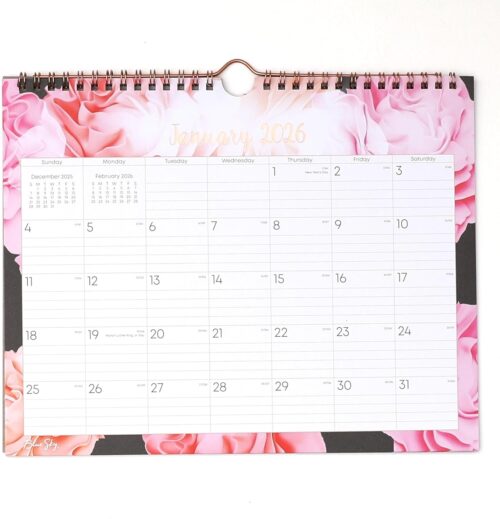 Blue Sky 2026 Monthly Wall Calendar, January 2026 - December 2026, Durable Twin Wire Binding, 11" x 8.75", Perfect For Home, Office And Classrooms, Joselyn