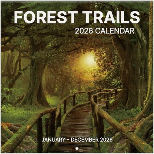 2026 Wall Calendar, 2026 Pathways Calendar, 12 Months from Jan 2026 - Dec 2026, 12" x 24" Open, Thick Paper, Hanging Holes, Large Blocks, Moon Phases, Holidays, Gifts for Planning or Organizing